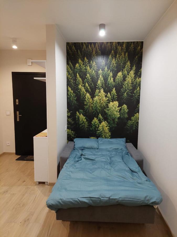 Apartament Pod Gora Szyndzielnia , Debowiec 别尔斯克-比亚拉 外观 照片