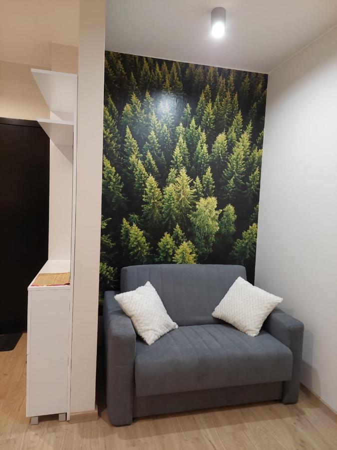 Apartament Pod Gora Szyndzielnia , Debowiec 别尔斯克-比亚拉 外观 照片