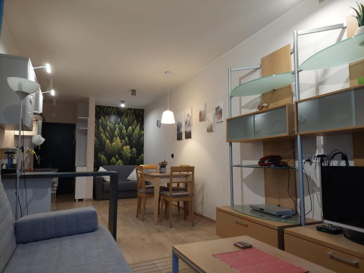 Apartament Pod Gora Szyndzielnia , Debowiec 别尔斯克-比亚拉 外观 照片